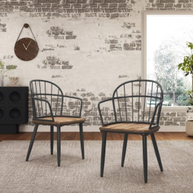 Indoor Dining Chair With Metal Legs Set Of 2,Light Birch