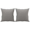 Couch BackThrow Pillows 2 pcs Light Gray 15.7"x15.7" Fabric