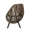 27 Inch Accent Chair, Rattan Frame, Curved Round Silhouette, Brown, Black