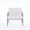 Modern Chic Accent Chair with Metal Frame , Upholstered Chenille Living Room Chair with Removable Seat and Back Cushion